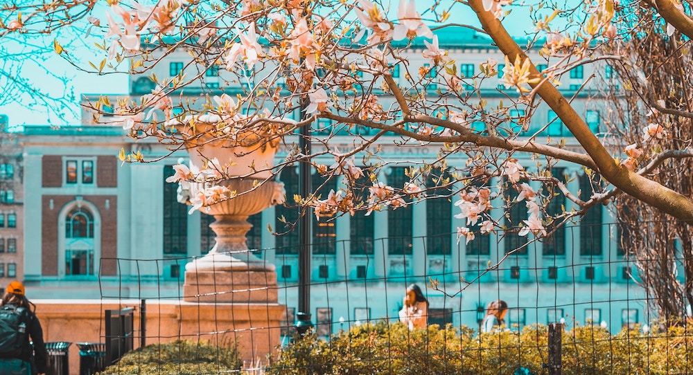 Photo by Jahsie Ault on Unsplash Photo by Jahsie Ault on Unsplash