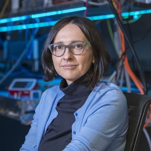 Jelena Vuckovic, a Jensen Huang Professor in Global Leadership and professor of electrical engineering at Stanford University