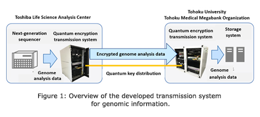 Toshiba, ToMMo Demonstrate Quantum Cryptography Transmission of Whole-Genome Sequence Data