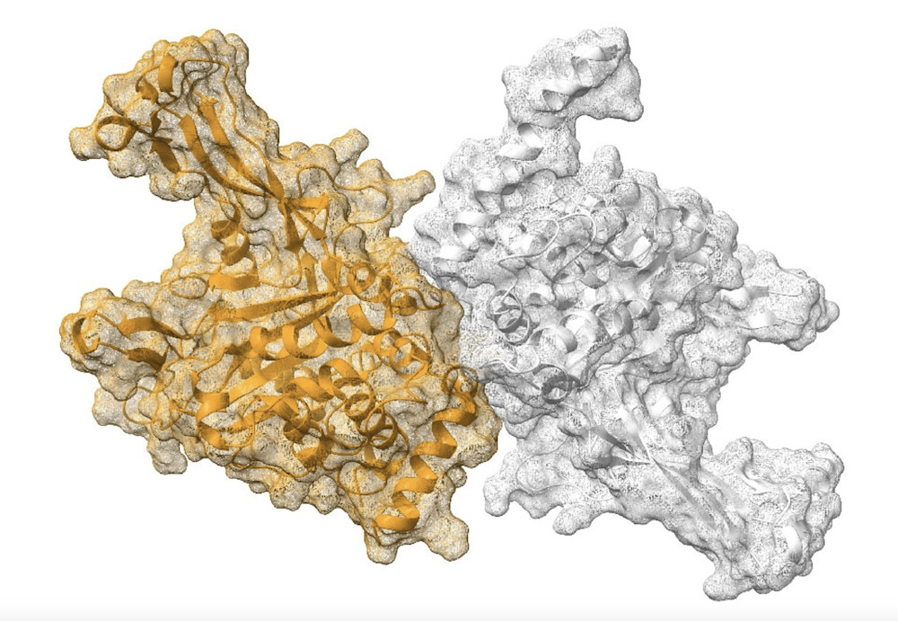 Photo Qubits Pharmaceuticals