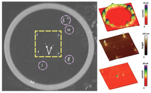 Early-stage validation of quantum computing chip viability Highlights