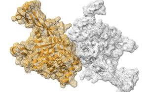 Qubit Pharmaceuticals Accelerates Drug Discovery With Hybrid Quantum Computing Qubit Pharmaceuticals Accelerates Drug Discovery With Hybrid Quantum Computing