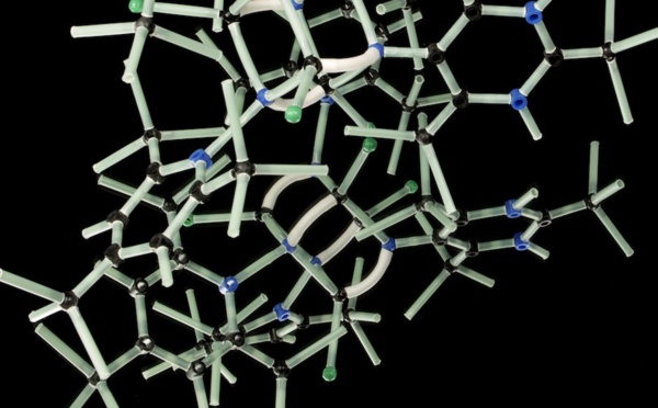 Merck and HQS Quantum Simulations Cooperate in Quantum Computing