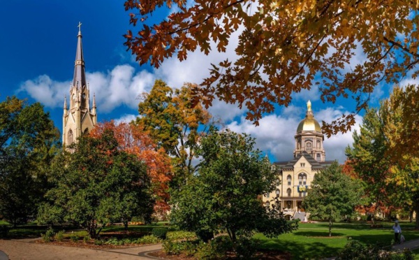 ​NTT Research and University of Notre Dame Collaborate to Explore Continuous-Time Analog Computing