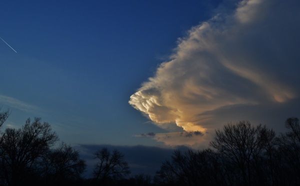 Atos and ECMWF launch Center of Excellence in Weather &amp; Climate Modelling to support researchers with HPC, AI and quantum capabilities
