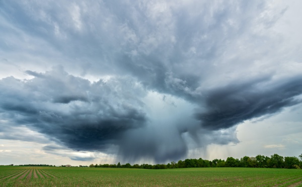 ​BASF Collaborates with PASQAL to Predict Weather Patterns