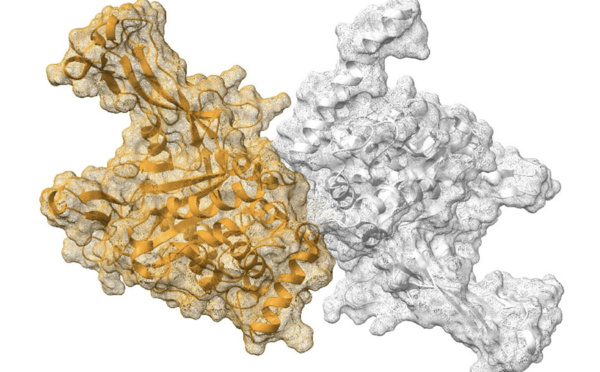 Qubit Pharmaceuticals Accelerates Drug Discovery With Hybrid Quantum Computing